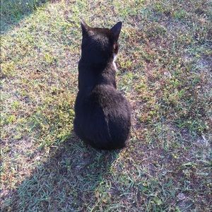 Meet your Posher, Libby